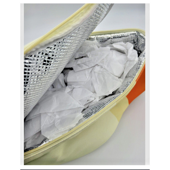 Disney World Parks Monorail Lunch Box Tote Bag Cool Bag Chill Insulated BNWT - Picture 5 of 14